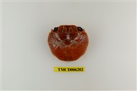 藏品(白紋方蟹)的圖片